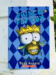 Fly guy