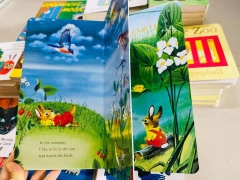 Eric Carle board book 11 cuốn