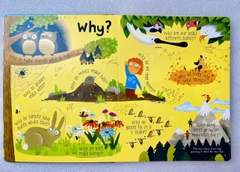 USBORNE - Lift the flap - Questions and Answers about Nature
