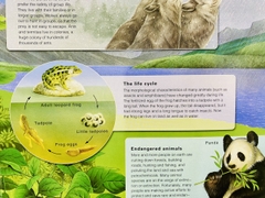 3D WILD