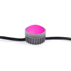 Led Dây Chống Nước Exterior Dot-HP Pro - Martin
