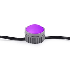 Led Dây Chống Nước Exterior Dot-HP Pro - Martin