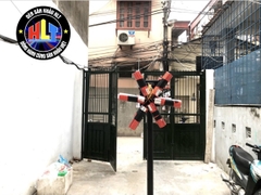 Máy Quay Tạo Hoa Cho Pháo Điện