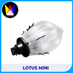 LOTUS MINI