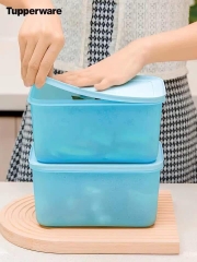 Hộp Đông Dẻo Tupperware Tách Set 2.5L