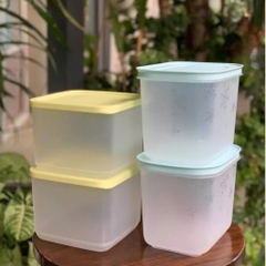 Bộ 4 Hộp Tupperware Trrữ Đông/Mát Starter Set II - New Tupperware Chính Hãng