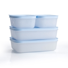 Bộ 4 Hộp Trữ Đông Tupperware Gen II 450ml & 1L Đông Dẻo Cao Cấp