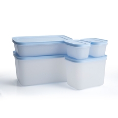 Bộ 5 Hộp Tupperware Trữ Đông Gen II  (2 hộp 170ml+1 hộp 1.1L+1 hộp 1L và 1 hộp 2.5L ) - New Tupperware