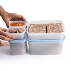 Bộ 5 Hộp Tupperware Trữ Đông Gen II  (2 hộp 170ml+1 hộp 1.1L+1 hộp 1L và 1 hộp 2.5L ) - New Tupperware