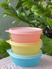 Tuptrung - Set trữ mát và khô Junior Bowl (300ml) - Màu pastel