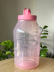 Tupmalay Bình Jar Size Lớn (01 Bình)