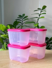 Bộ 4 Hộp Tupperware Trữ đông Dateline Mini Double 300ml - New Tupperware Chính Hãng
