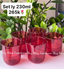 Tuptrung - Cốc Tupperware 230ml