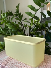 Tuptrung Hộp Lẻ Ngăn Mát Tupperware Funtastic Màu Ngẫu Nhiên 3.1L (01 Hộp)
