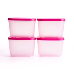 Bộ 4 Hộp Trữ Đông Tupperware Gen I Mini 300ml