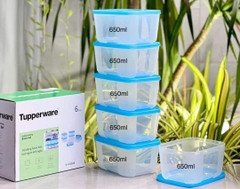 Combo Tuptrung Set 4 Hộp Đông Basic 650ml Nắp Xanh (4 Hộp)