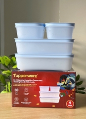 Bộ 4 Hộp Tupperware Trữ Đông Gen II (2 hộp 450ml và 2 hộp 1L) - Đông Dẻo Cao Cấp -  New Tupperware