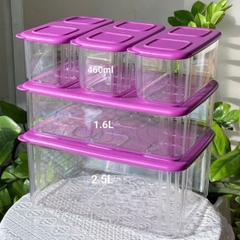 Bộ Hộp  Tupperware Trữ Khô Tím Nhựa Trong Clearmate - Tupperware Malaysia Chính Hãng