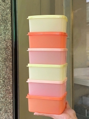 Bộ 6 Hộp Trữ Mát 400ml - Tupperware Trung Chính Hãng