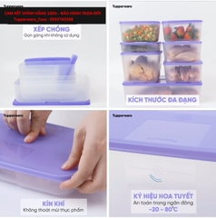 Hộp Tupperware Trữ Đông Dẹt Freemate 250ml -  Tupperware Malaysia Chính Hãng