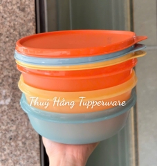 Bộ Hộp Bowl Tupperware 1L + 1.5L + 2L - Màu 2025 - Tupperware Trung Chính Hãng