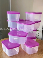 Tupmalay - Hộp Trữ Đông Basic 650ml Nắp Tím
