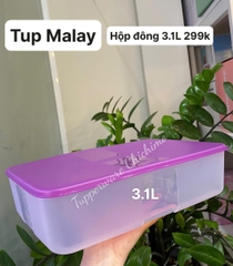 Tupmalay - Hộp Đông Tupperware Nắp Tím 3.1L Essential (01 Hộp)