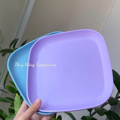 Combo Bộ Đĩa Tupperware Vuông 20cm -  4 Màu - Năm 2025 - Tupperware Trung Chính Hãng