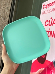 Combo Bộ Đĩa Tupperware Vuông 20cm -  4 Màu - Năm 2025 - Tupperware Trung Chính Hãng