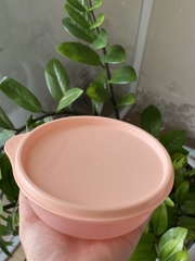Hộp Mát Tupperware Round bowl 4 Màu 300ml (01 Hộp)