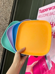 Combo Bộ Đĩa Tupperware Vuông 20cm -  4 Màu - Năm 2025 - Tupperware Trung Chính Hãng