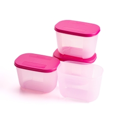 Bộ 4 Hộp Trữ Đông Tupperware Gen I Mini 300ml