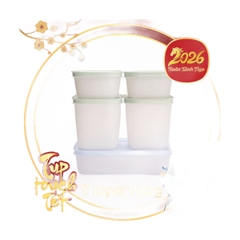 Hộp Trữ Đông Tupperware Gen II