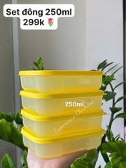 Hộp Tách Set Freezemate Colorful 8 (01 Hộp)