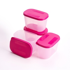 Bộ 4 Hộp Trữ Đông Tupperware Gen I Mini 300ml