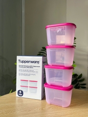 Bộ 4 Hộp Tupperware Trữ đông Dateline Mini Double 300ml - New Tupperware Chính Hãng