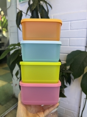 Bộ hộp Bảo quản thực phẩm Tupperware Small Square Round (4 hộp)