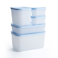 Bộ 5 Hộp Tupperware Trữ Đông Gen II  (2 hộp 170ml+1 hộp 1.1L+1 hộp 1L và 1 hộp 2.5L ) - New Tupperware