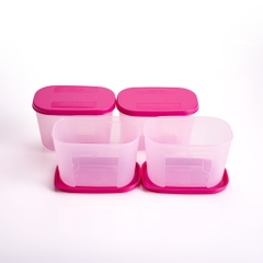 Bộ 4 Hộp Trữ Đông Tupperware Gen I Mini 300ml