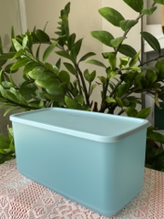 Tuptrung Hộp Lẻ Ngăn Mát Tupperware Funtastic Màu Ngẫu Nhiên 3.1L (01 Hộp)