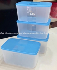 Tuptrung Hộp Đông Nắp Xanh Dương Basic