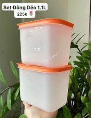 Hộp đông dẻo 1.1L