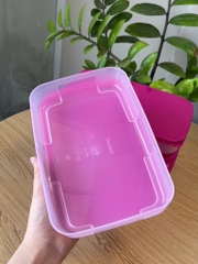 Hộp Tupperware Trữ Đông 650ml Dẹt - Nắp Hồng
