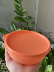 Hộp Mát Tupperware Round bowl 4 Màu 300ml (01 Hộp)