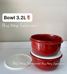 Bowl Tupperware 3.2L - Đỏ