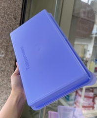 Hộp Tupperware Trữ Mát Cold Cut Keeper - Tupperware Malaysia Chính Hãng