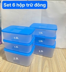 Bộ 6 Hộp Tupperware Trữ Đông Gen I Medium 2.3L & 1.5L - New Tupperware