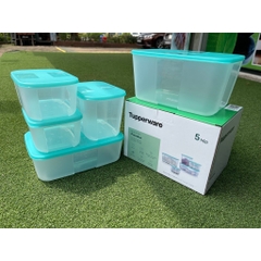 Bộ Hộp Tupperware Trữ Đông Paradise (5 hộp)