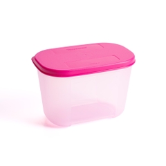 Bộ 4 Hộp Trữ Đông Tupperware Gen I Mini 300ml