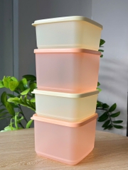 Bộ 4 Hộp Trữ Mát Cubix Square 1L và 650ml - New Tupperware
